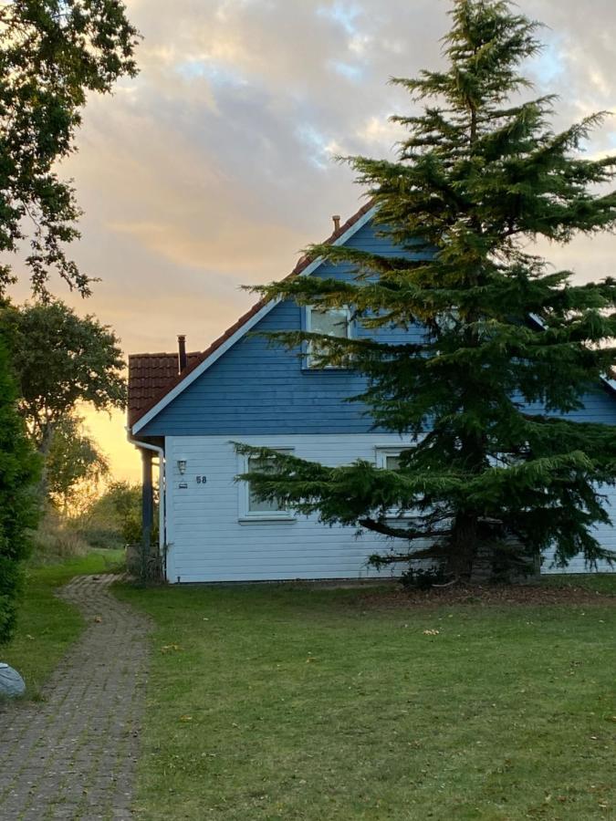Freistehendes Einfamilienhaus Mit Boddenblick Naehe Ostsee Fuhlendorf  Bagian luar foto